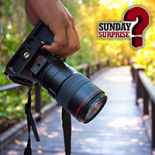 Sunday news